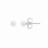 ARETES FLAVIA