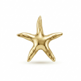 BROCHE ESTRELLA DORADA