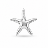 BROCHE ESTRELLA PLATEADA